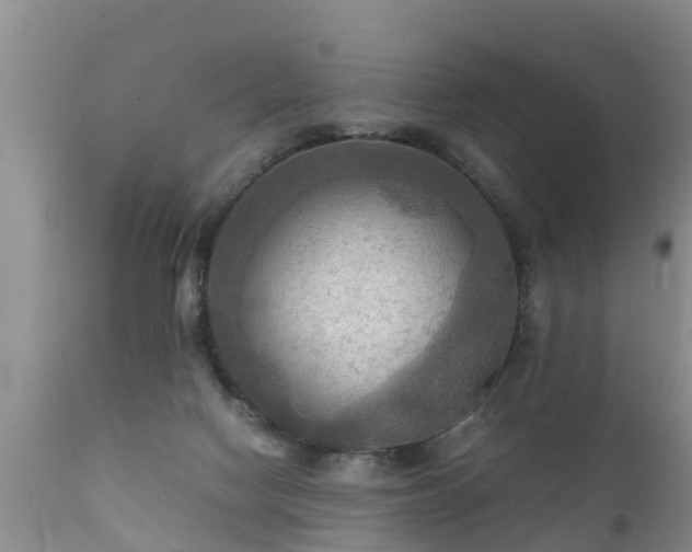 X0000112090074200908111404