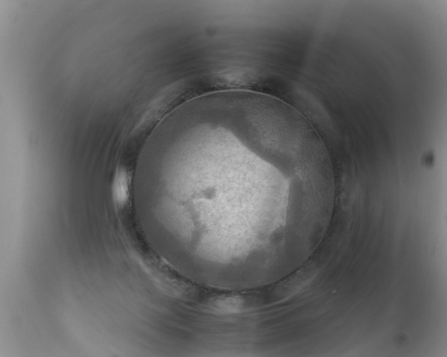 X0000112090075200908111404