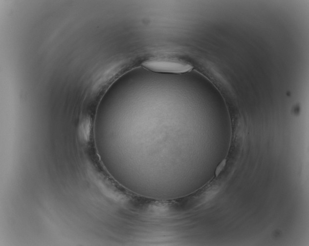 X0000112090076200908111404