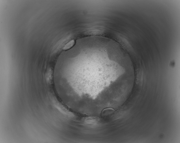 X0000112090077200908111404