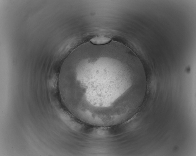 X0000112090078200908111404