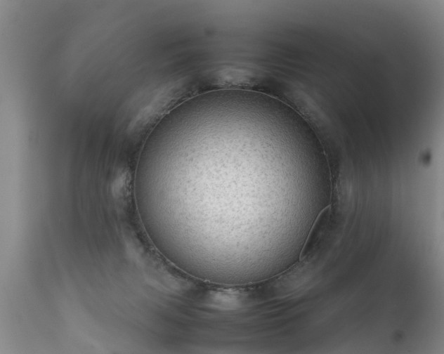 X0000112090079200908111404