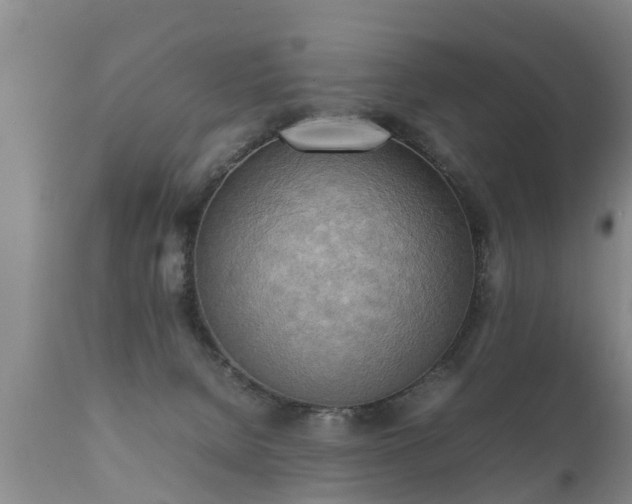 X0000112090080200908111404