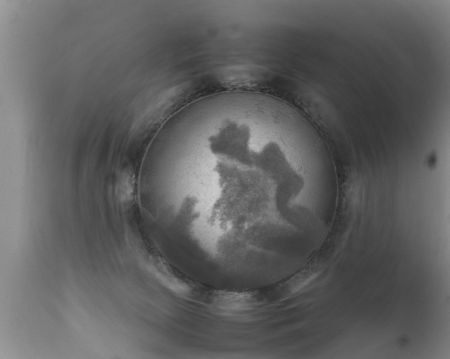 X0000112090081200908111404