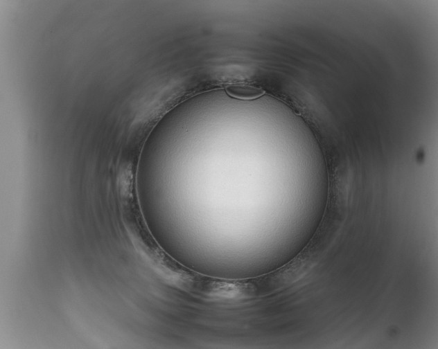 X0000112090083200908111404