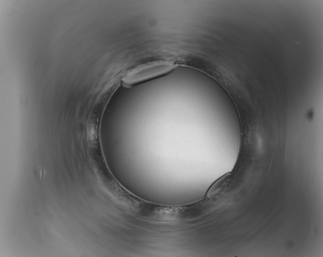 X0000112090084200908111404