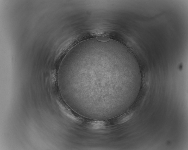 X0000112090085200908111404