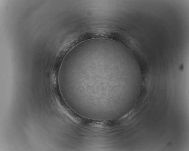 X0000112090086200908111404