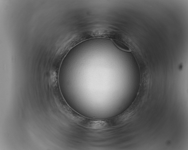 X0000112090087200908111404