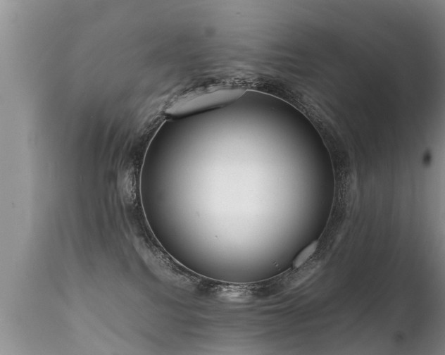 X0000112090088200908111404