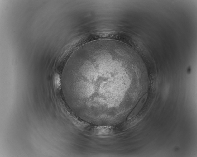 X0000112090089200908111404