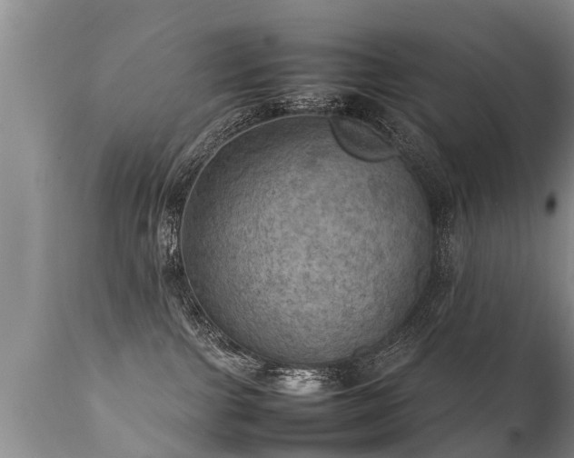 X0000112090091200908111404