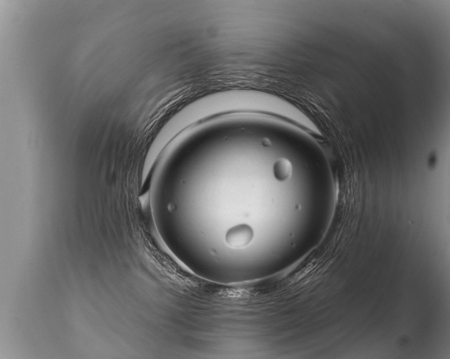 X0000112090092200908111404