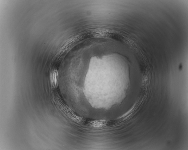 X0000112090094200908111404