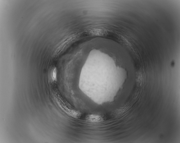 X0000112090095200908111404