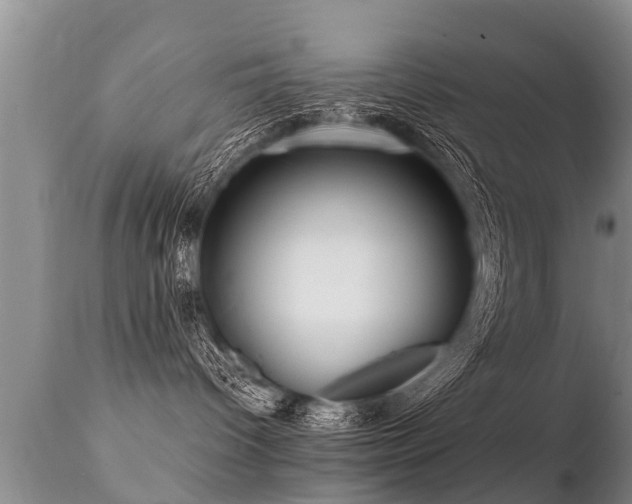 X0000112090096200908111404