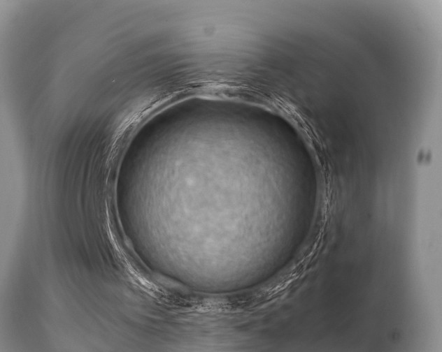 X0000112090097200908111403