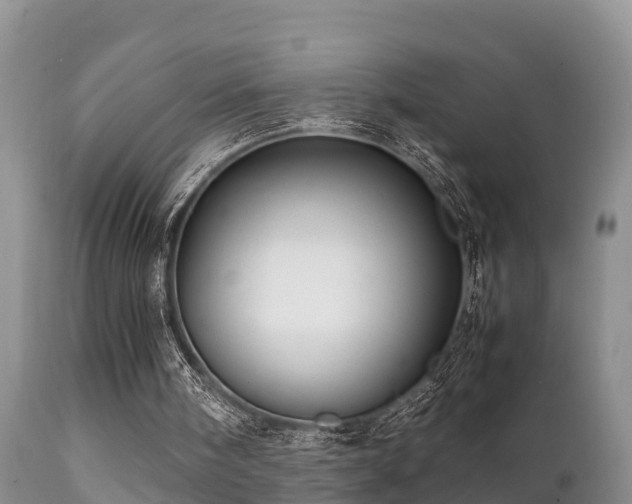 X0000112090098200908111403