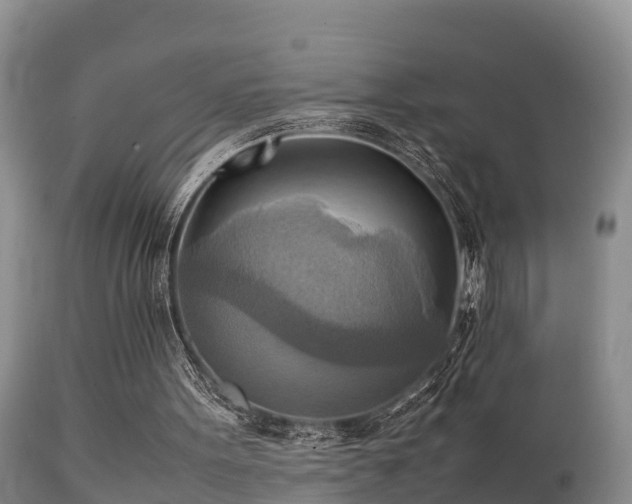 X0000112090099200908111403