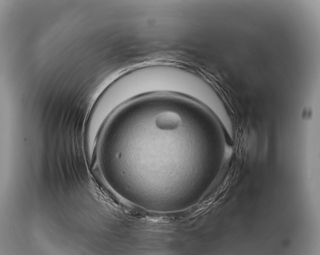 X0000112090100200908111403