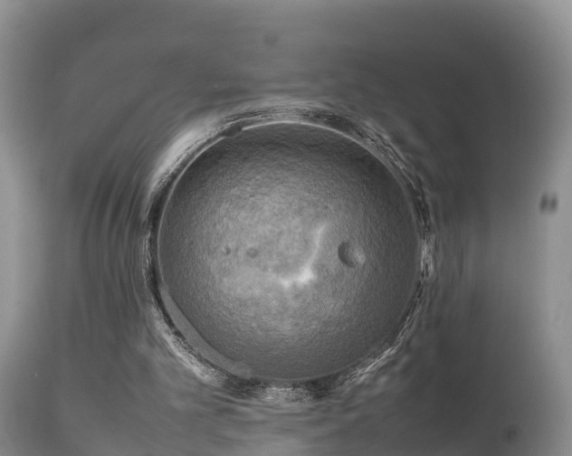 X0000112090101200908111403