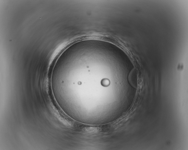 X0000112090102200908111403