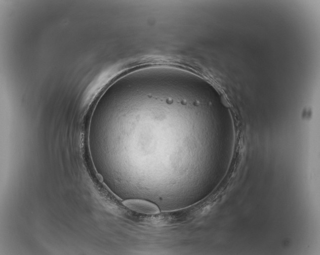 X0000112090103200908111403