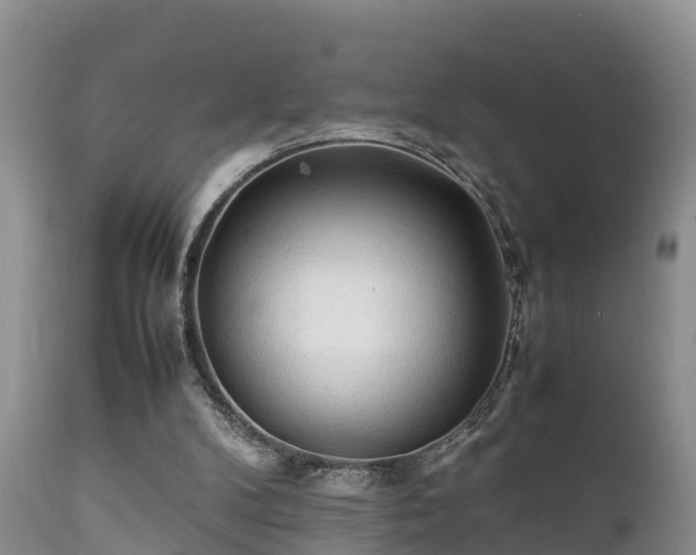 X0000112090104200908111403