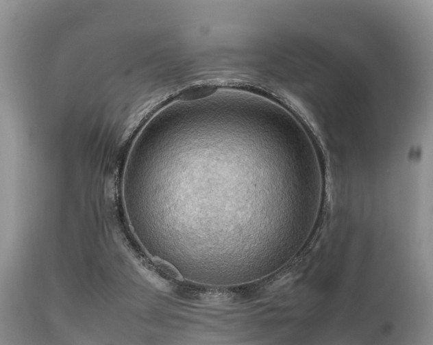 X0000112090105200908111403