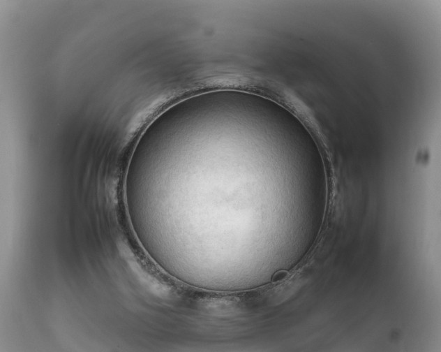 X0000112090106200908111403