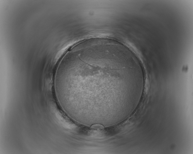 X0000112090107200908111403