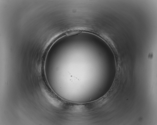 X0000112090108200908111403