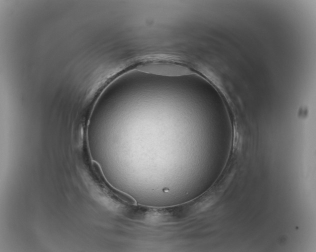 X0000112090109200908111403