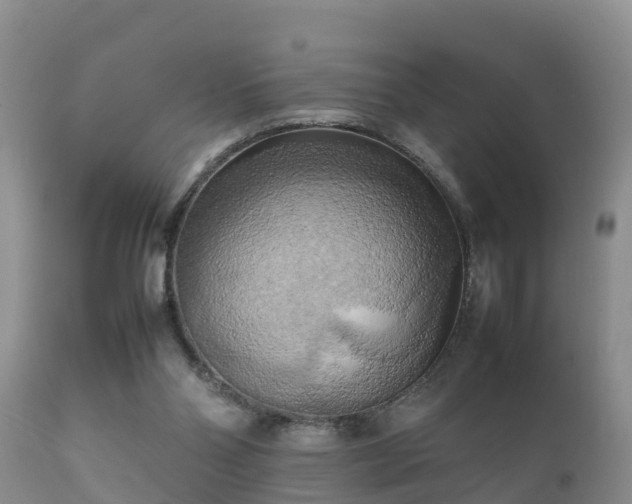 X0000112090110200908111403