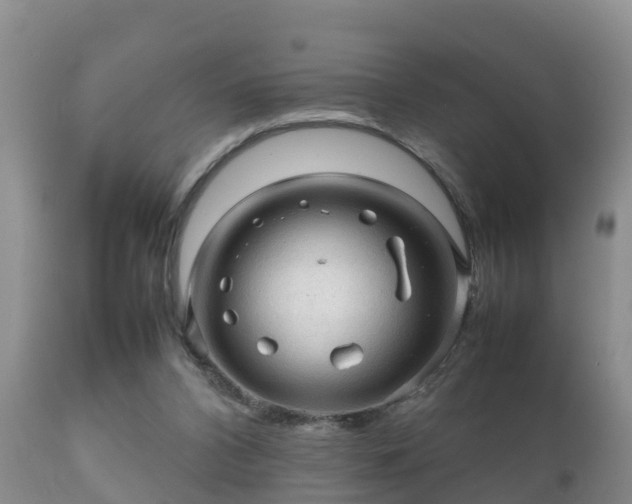 X0000112090112200908111403