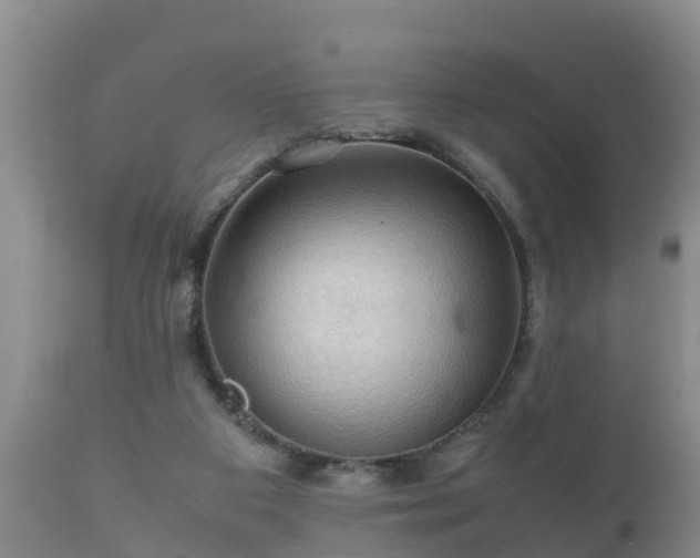 X0000112090113200908111403