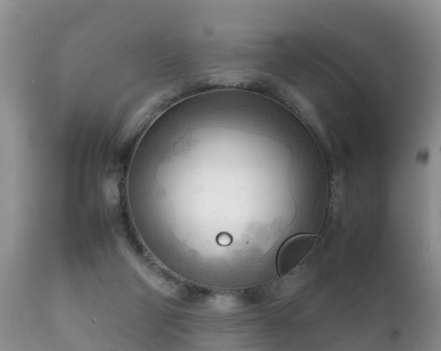 X0000112090114200908111403