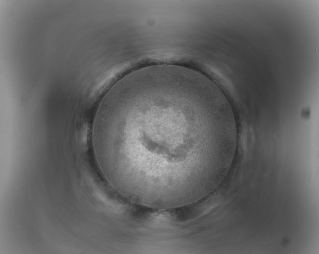 X0000112090115200908111403