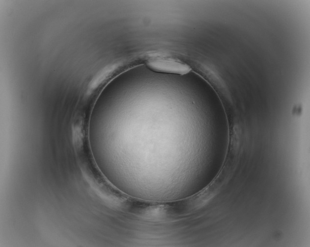 X0000112090116200908111403