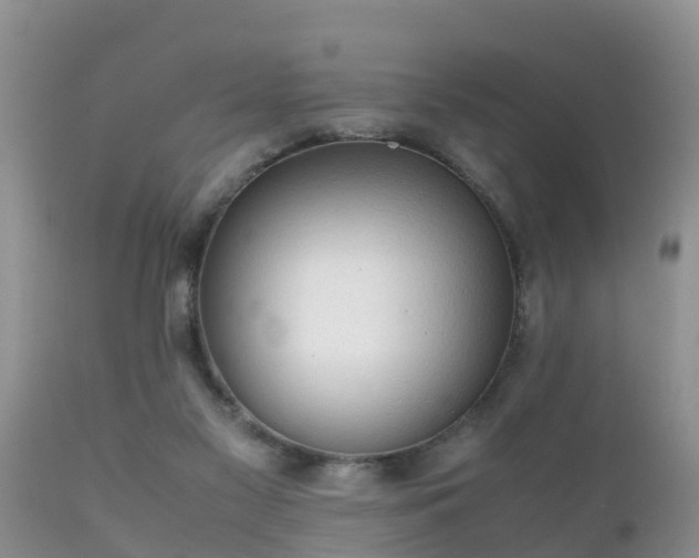 X0000112090117200908111403