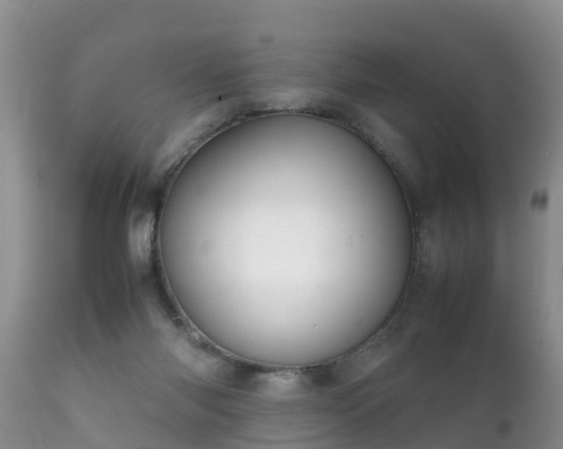 X0000112090118200908111403