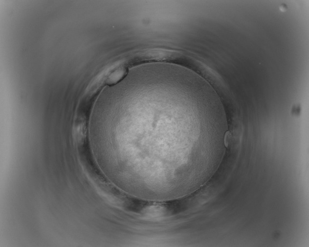 X0000112090119200908111403