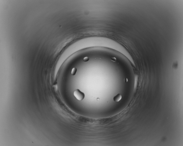 X0000112090120200908111403