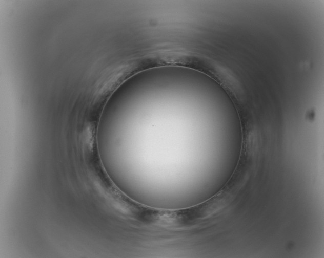 X0000112090121200908111403