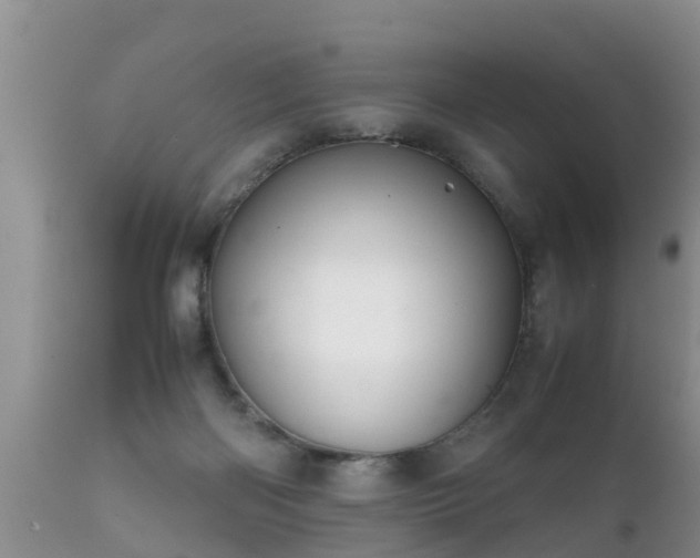 X0000112090122200908111403