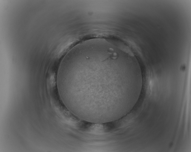 X0000112090123200908111403