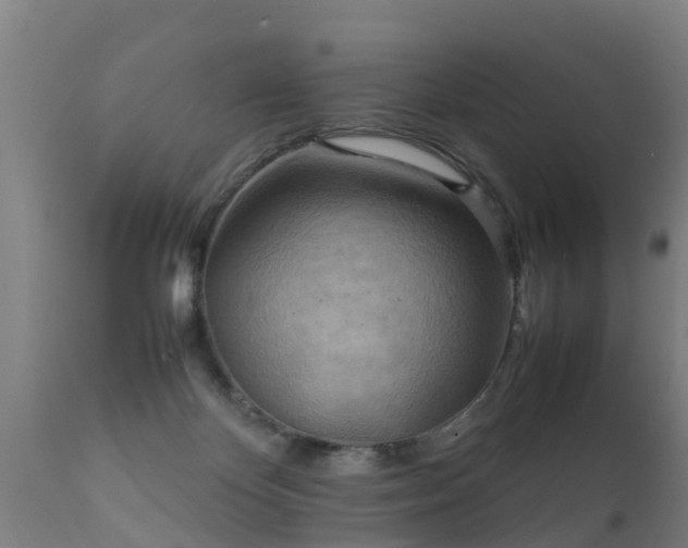 X0000112090124200908111403