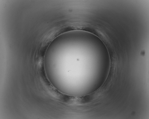 X0000112090125200908111403