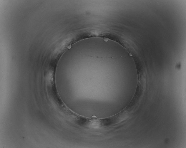 X0000112090127200908111403