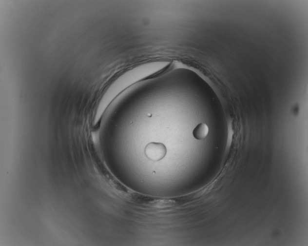 X0000112090128200908111403